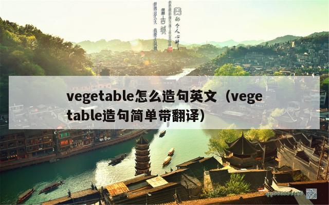 vegetable怎么造句英文（vegetable造句简单带翻译）